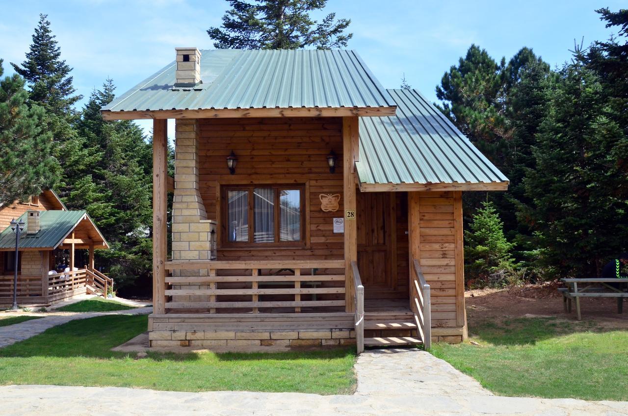 Uludag Orman Koskleri Villa Бурса Екстериор снимка