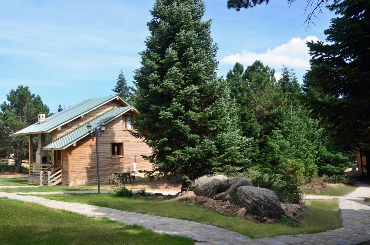 Uludag Orman Koskleri Villa Бурса Екстериор снимка
