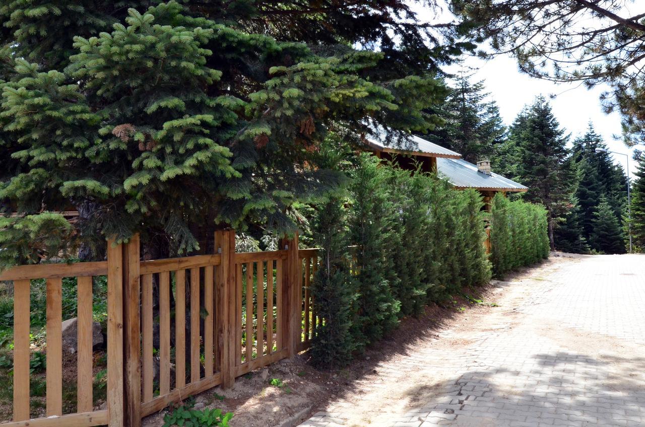 Uludag Orman Koskleri Villa Бурса Екстериор снимка