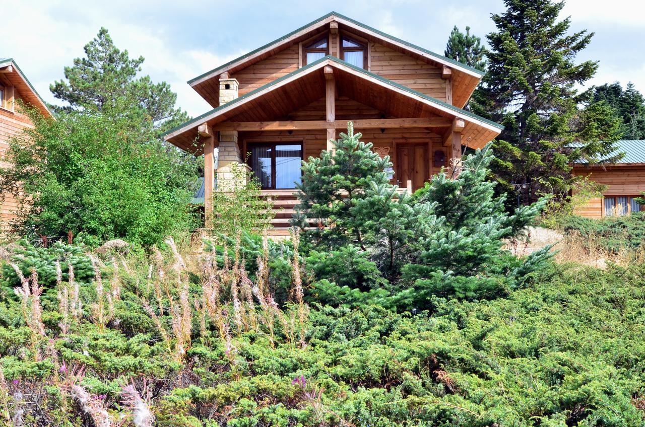 Uludag Orman Koskleri Villa Бурса Екстериор снимка