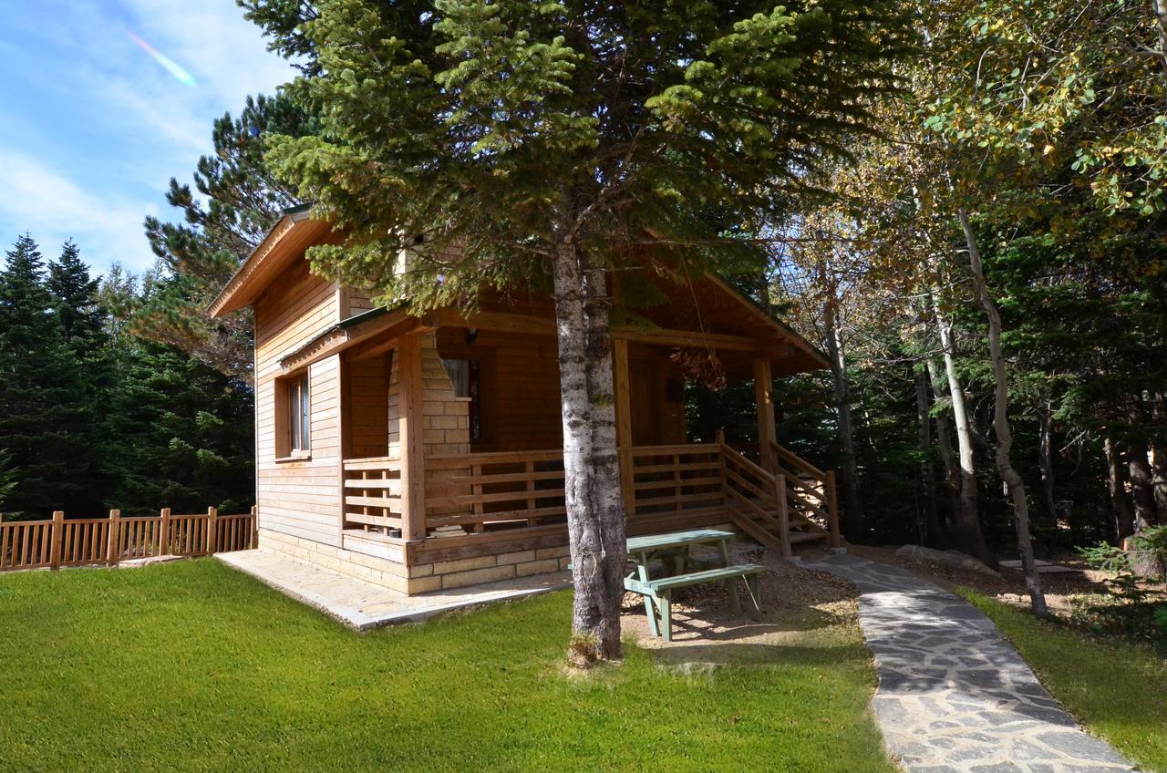 Uludag Orman Koskleri Villa Бурса Екстериор снимка