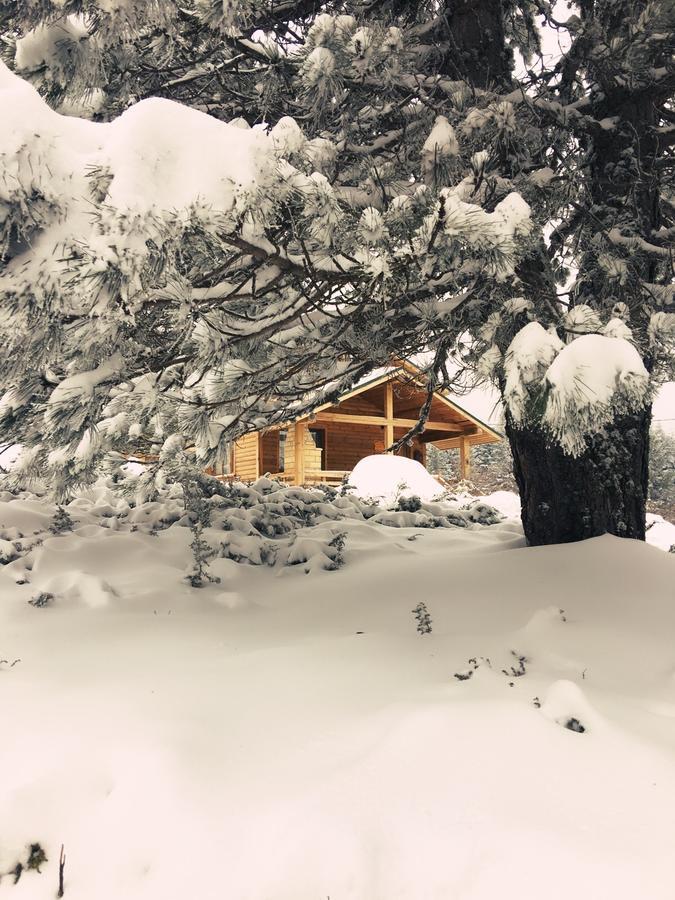 Uludag Orman Koskleri Villa Бурса Екстериор снимка